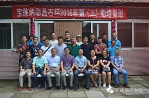 宝莲纳彩晶石坪2016年第三期培训班”圆满结束</a>